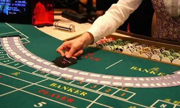 312bet bet